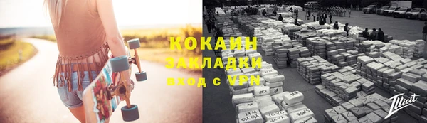 гидра Калининец