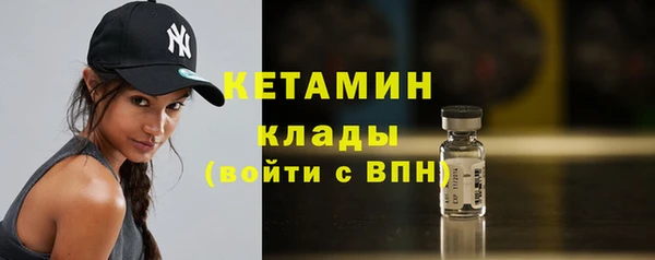 гидра Калининец