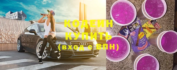 гидра Калининец